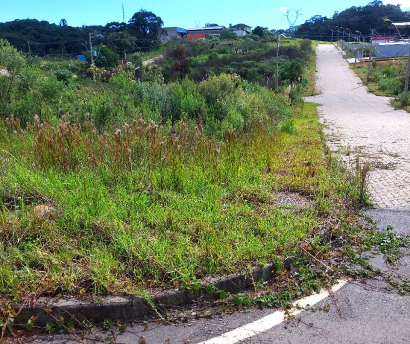 Terreno - Venda - Charqueadas - Caxias do Sul - RS