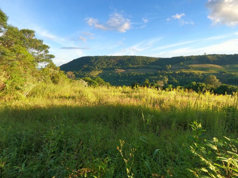 Chcara - Venda - Segunda Legua - Caxias do Sul - RS