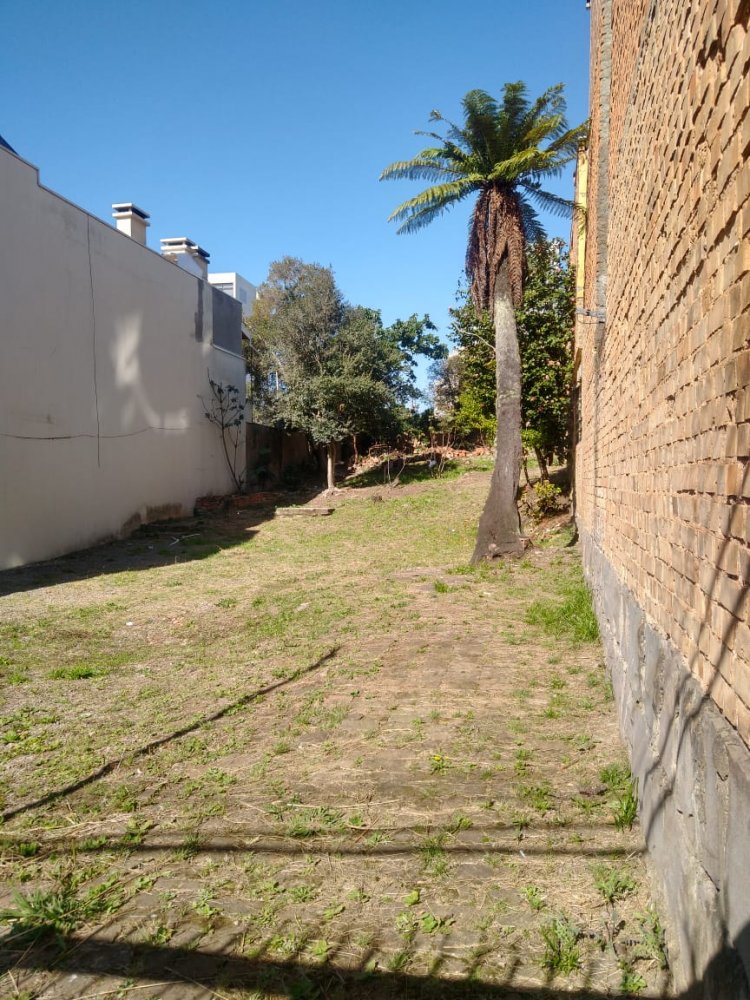 Terreno - Venda - So Pelegrino - Caxias do Sul - RS