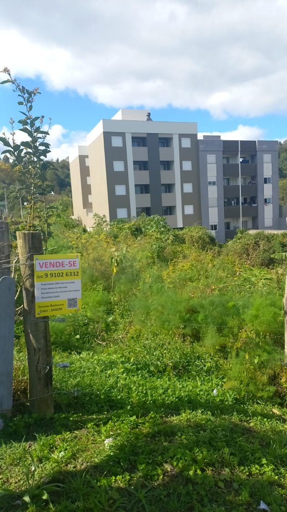 Terreno - Venda - Nossa Senhora das Graas - Caxias do Sul - RS