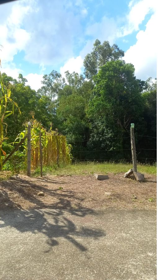 Terreno - Venda - Altos do Semin�rio - Caxias do Sul - RS