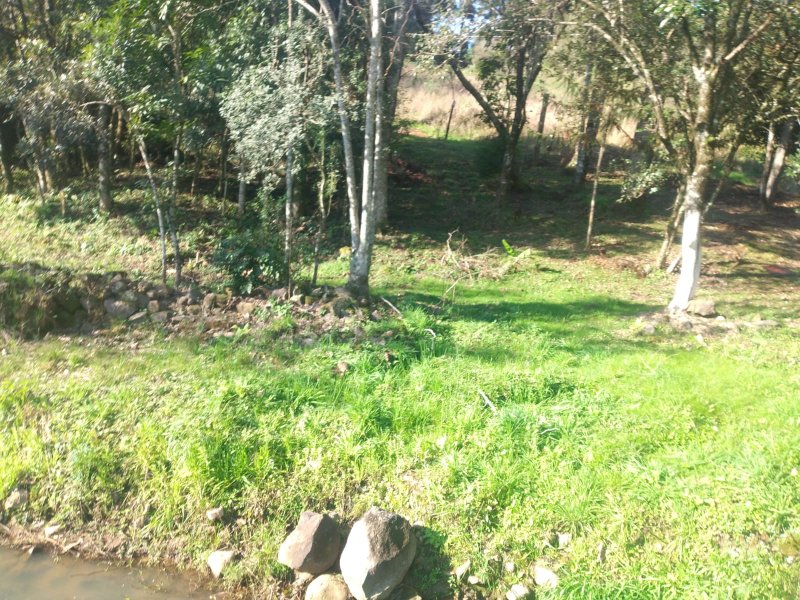 Chcara - Venda - Santa Lcia do Pia - Caxias do Sul - RS