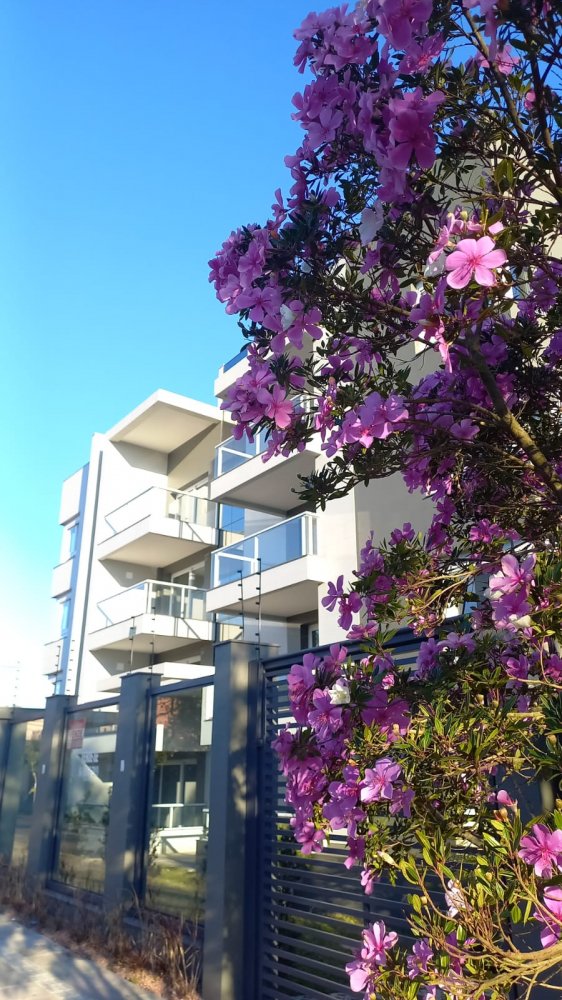 Apartamento - Venda - Jardim Amrica - Caxias do Sul - RS