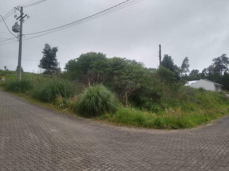 Terreno - Venda - So Caetano - Caxias do Sul - RS