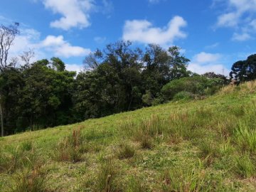 Terreno  Venda